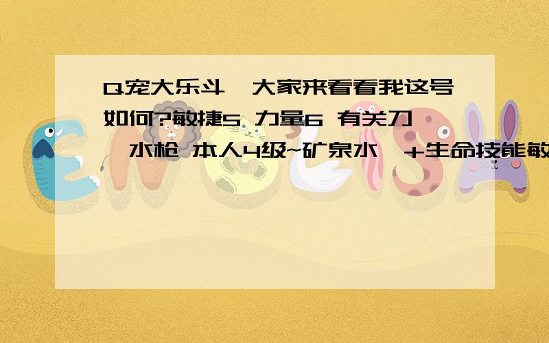 Q宠大乐斗,大家来看看我这号如何?敏捷5 力量6 有关刀,水枪 本人4级~矿泉水,+生命技能敏捷5 力量6 有关刀,水枪 本人4级~矿泉水,+生命技能我意思是 有发展前途不!