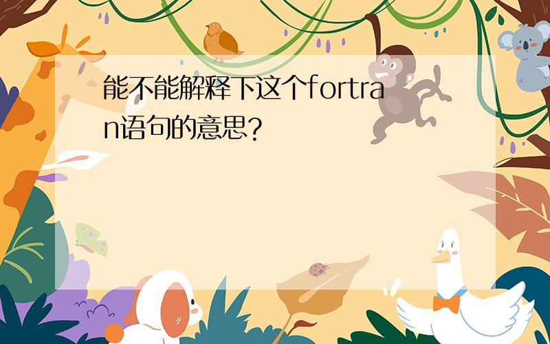 能不能解释下这个fortran语句的意思?