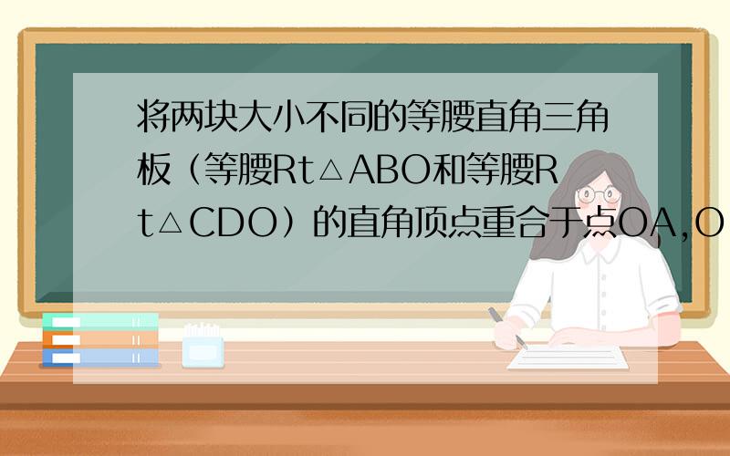 将两块大小不同的等腰直角三角板（等腰Rt△ABO和等腰Rt△CDO）的直角顶点重合于点OA,O,C在同一条直线上,点D在OB上,连接BD,AD.（1）AD与BC有何关系（已会,不需回答）答案：AD垂直于BC AD=BC（2）