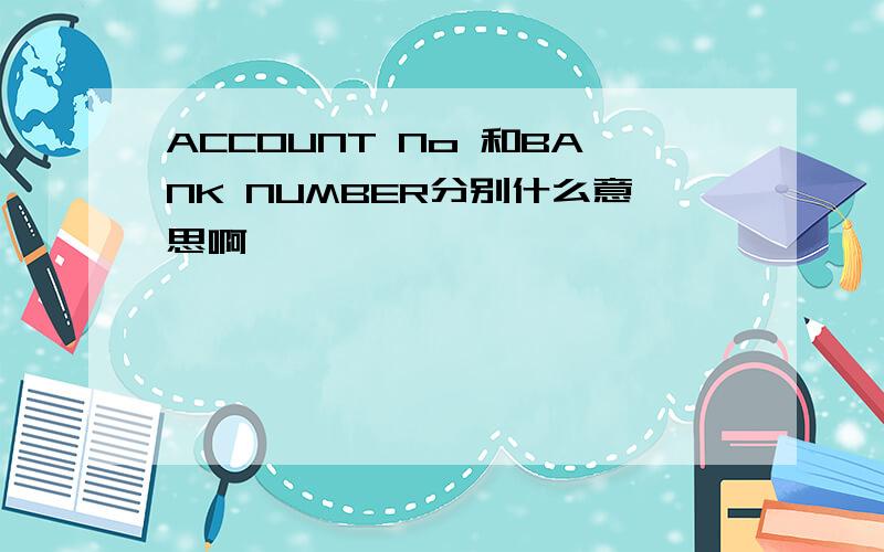 ACCOUNT No 和BANK NUMBER分别什么意思啊