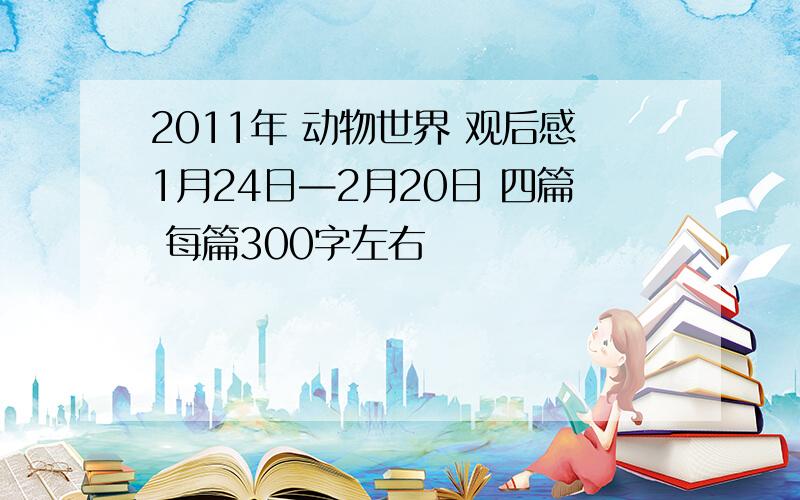 2011年 动物世界 观后感1月24日—2月20日 四篇 每篇300字左右