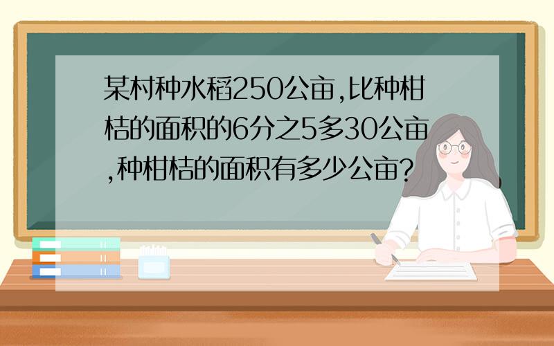 某村种水稻250公亩,比种柑桔的面积的6分之5多30公亩,种柑桔的面积有多少公亩?