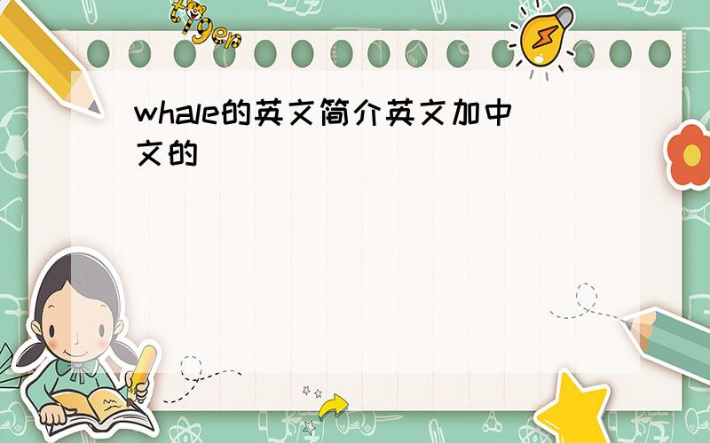 whale的英文简介英文加中文的