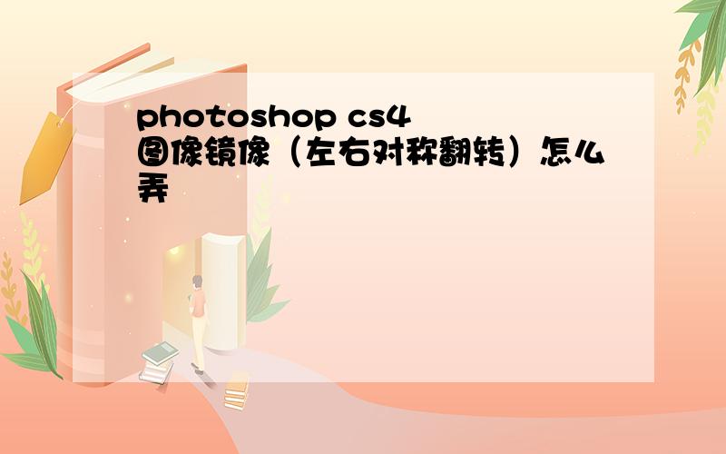 photoshop cs4 图像镜像（左右对称翻转）怎么弄