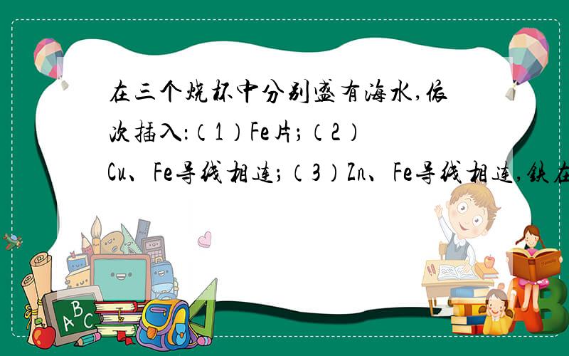 在三个烧杯中分别盛有海水,依次插入：（1）Fe片；（2）Cu、Fe导线相连；（3）Zn、Fe导线相连,铁在其中被腐蚀时由快到慢的顺序是A．（1）（2）（3） B．（2）（1）（3） C．（2）（3）（1） D