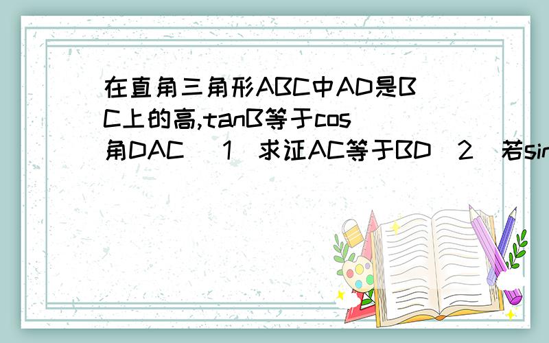 在直角三角形ABC中AD是BC上的高,tanB等于cos角DAC （1）求证AC等于BD（2）若sinC等于是三分之十二,BC等于12,求AD的长图就是一个大直角三角形ABC 里面一个辅助线 AD垂直BC 分成2个直角三角形ADC和ADB