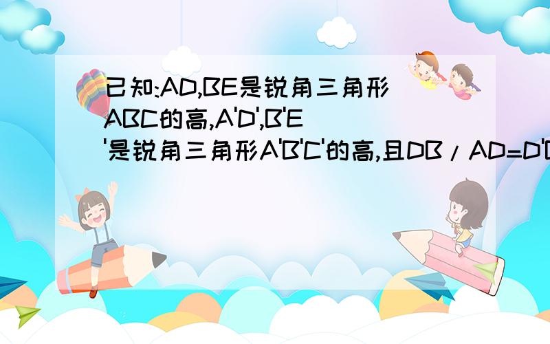 已知:AD,BE是锐角三角形ABC的高,A'D',B'E'是锐角三角形A'B'C'的高,且DB/AD=D'B'/A'D',∠C=∠C'.试说明AD*B'E'=A'D'*BE