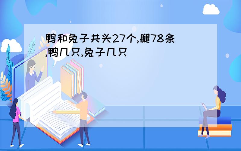 鸭和兔子共头27个,腿78条,鸭几只,兔子几只