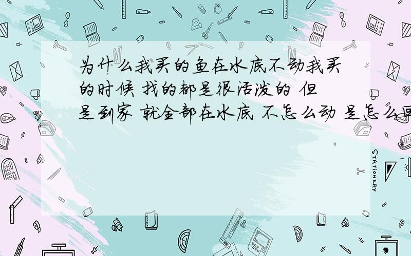 为什么我买的鱼在水底不动我买的时候 找的都是很活泼的 但是到家 就全部在水底 不怎么动 是怎么回事