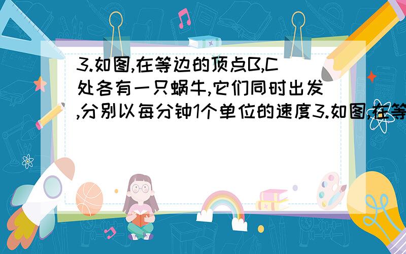 3.如图,在等边的顶点B,C处各有一只蜗牛,它们同时出发,分别以每分钟1个单位的速度3.如图,在等边的顶点B、C处各有一只蜗牛,它们同时出发,分别以每分钟1个单位的速度由B 向C和由C向A爬行,其