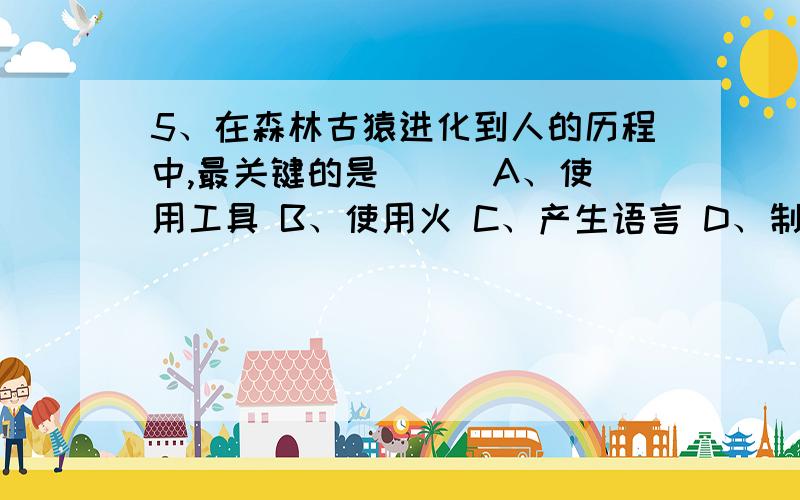 5、在森林古猿进化到人的历程中,最关键的是( ) A、使用工具 B、使用火 C、产生语言 D、制造工具如题A或D但是不同的地方答案不同哥哥姐姐们