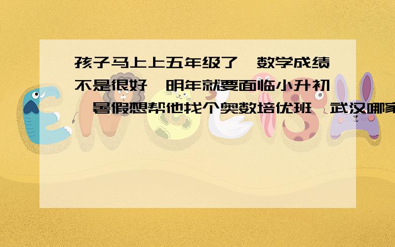 孩子马上上五年级了,数学成绩不是很好,明年就要面临小升初,暑假想帮他找个奥数培优班,武汉哪家好?