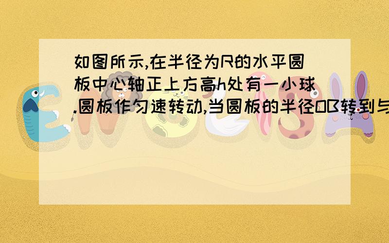 如图所示,在半径为R的水平圆板中心轴正上方高h处有一小球.圆板作匀速转动,当圆板的半径OB转到与初速度方向一致时,小球开始抛出.要使小球落到B点,则其初速度大小应为多少?圆板转动的角