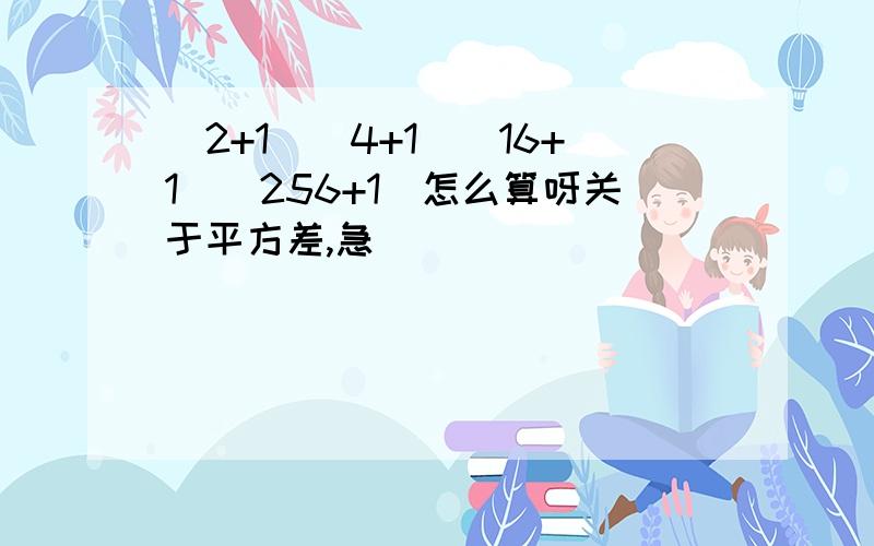 （2+1）（4+1）（16+1）（256+1）怎么算呀关于平方差,急