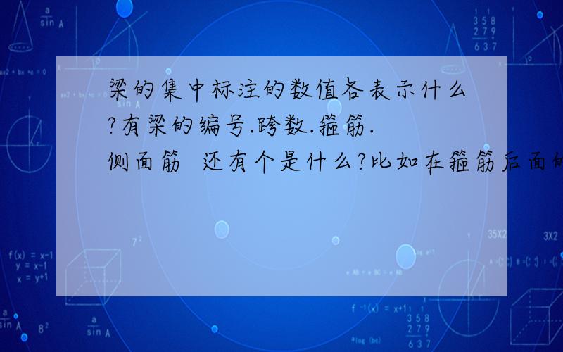 梁的集中标注的数值各表示什么?有梁的编号.跨数.箍筋. 侧面筋  还有个是什么?比如在箍筋后面的这个钢筋  2φ25  指的是什么筋