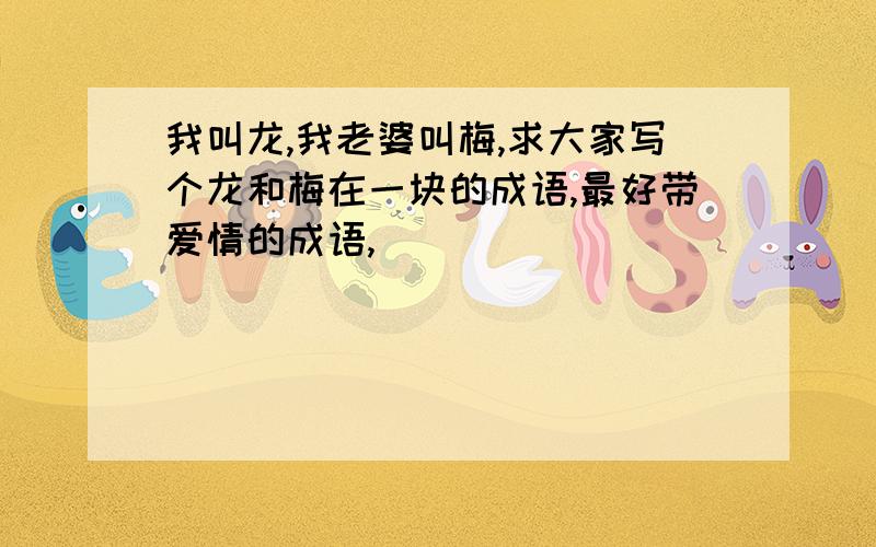 我叫龙,我老婆叫梅,求大家写个龙和梅在一块的成语,最好带爱情的成语,