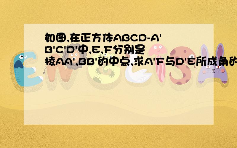 如图,在正方体ABCD-A'B'C'D'中,E,F分别是棱AA',BB'的中点,求A'F与D'E所成角的余弦值.