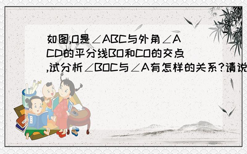 如图,O是∠ABC与外角∠ACD的平分线BO和CO的交点,试分析∠BOC与∠A有怎样的关系?请说明理由