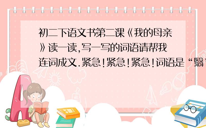 初二下语文书第二课《我的母亲》读一读,写一写的词语请帮我连词成文.紧急!紧急!紧急!词语是“翳”“责罚”“气量”“质问”“广漠”“管束”“宽恕”“文绉绉”