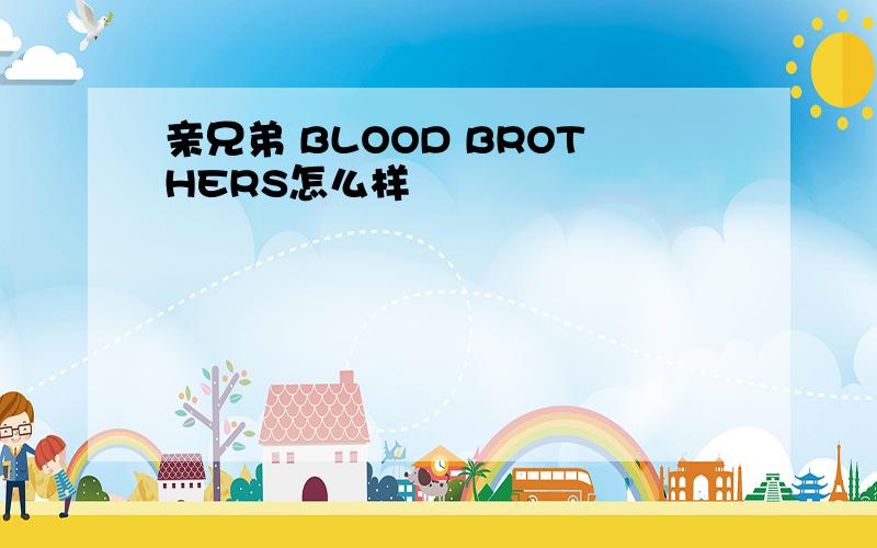 亲兄弟 BLOOD BROTHERS怎么样