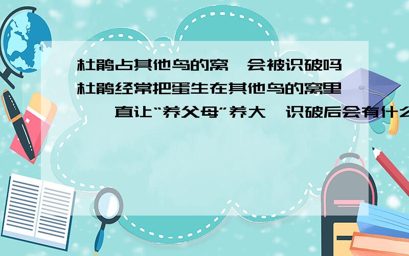 杜鹃占其他鸟的窝,会被识破吗杜鹃经常把蛋生在其他鸟的窝里,一直让“养父母”养大,识破后会有什么后果?