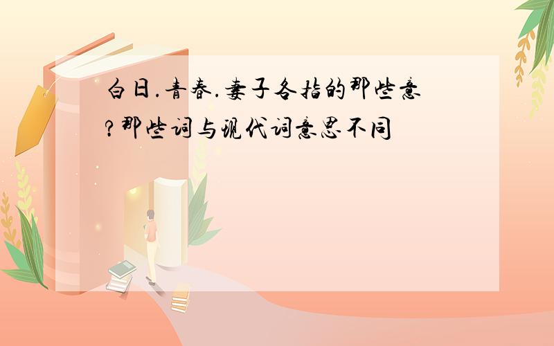 白日.青春.妻子各指的那些意?那些词与现代词意思不同