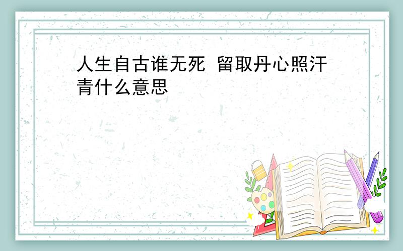 人生自古谁无死 留取丹心照汗青什么意思