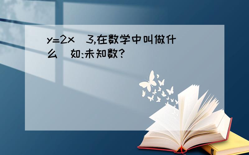 y=2x^3,在数学中叫做什么(如:未知数?)