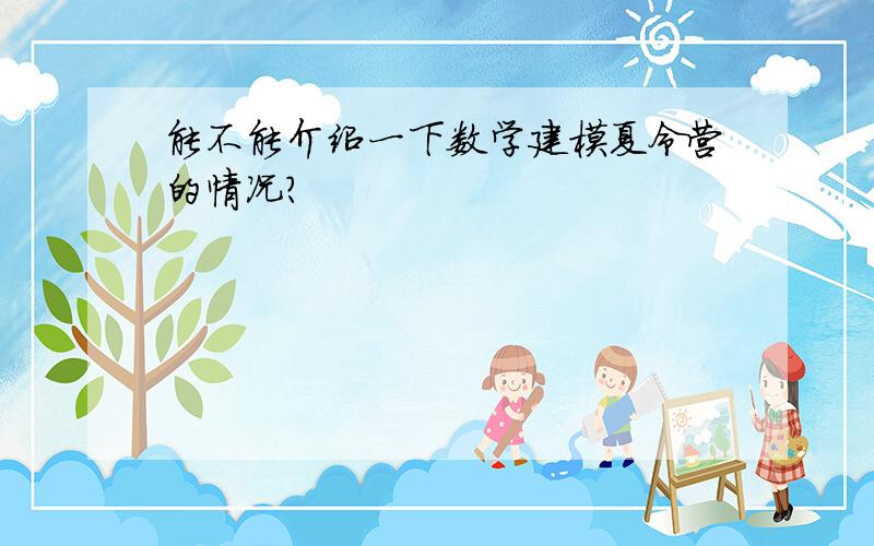 能不能介绍一下数学建模夏令营的情况?