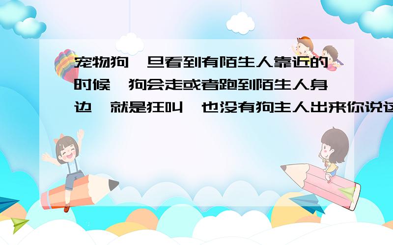 宠物狗一旦看到有陌生人靠近的时候,狗会走或者跑到陌生人身边,就是狂叫,也没有狗主人出来你说这样的话,尤其是半夜走在路上看到陌生人走来,狗旁边也没有主人,就是跑到陌生人面前狂叫,