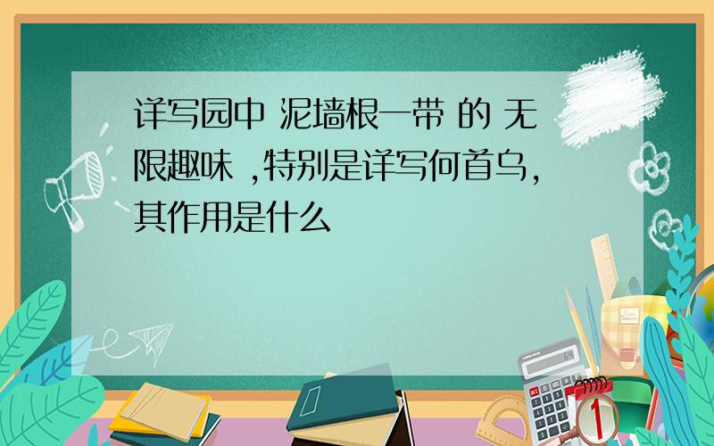 详写园中 泥墙根一带 的 无限趣味 ,特别是详写何首乌,其作用是什么