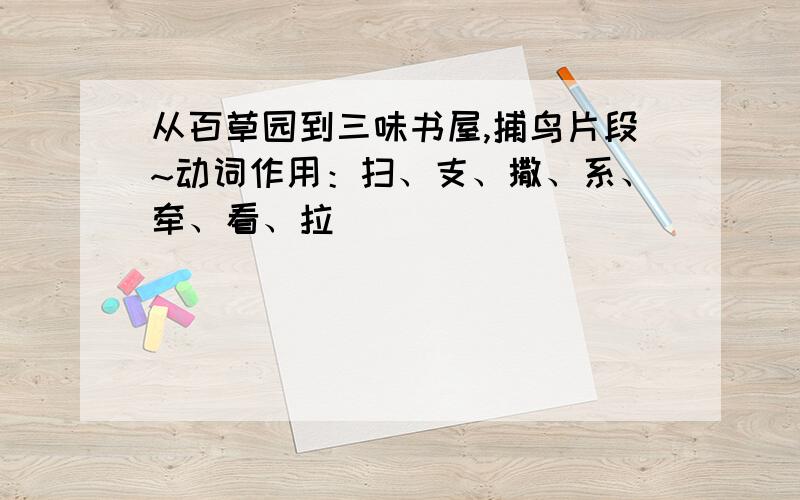 从百草园到三味书屋,捕鸟片段~动词作用：扫、支、撒、系、牵、看、拉