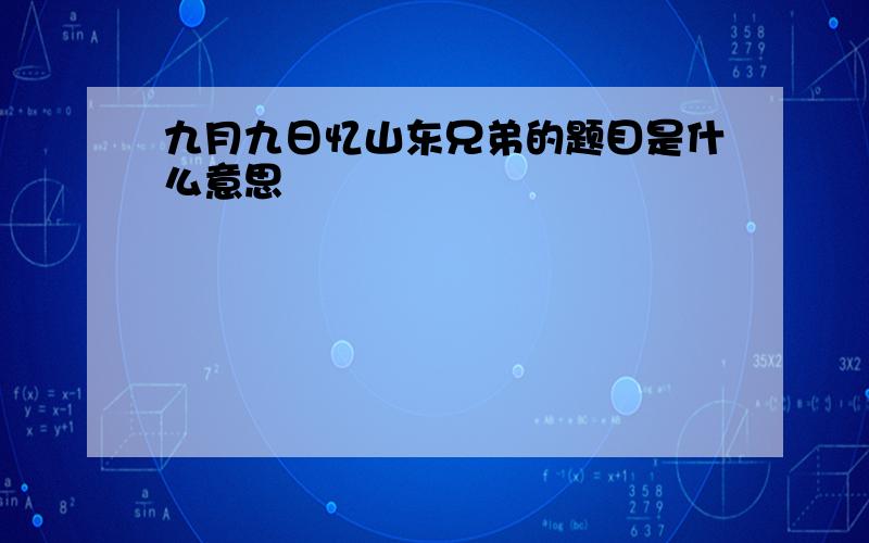 九月九日忆山东兄弟的题目是什么意思