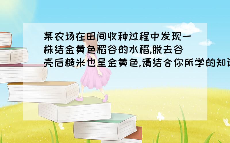 某农场在田间收种过程中发现一株结金黄色稻谷的水稻,脱去谷壳后糙米也呈金黄色,请结合你所学的知识对这株水稻进行遗传分析并设计实验克隆该基因