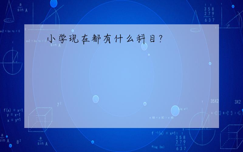 小学现在都有什么科目?