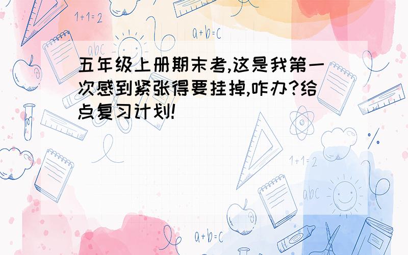 五年级上册期末考,这是我第一次感到紧张得要挂掉,咋办?给点复习计划!