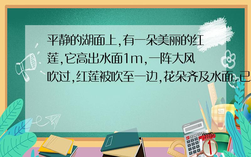 平静的湖面上,有一朵美丽的红莲,它高出水面1m,一阵大风吹过,红莲被吹至一边,花朵齐及水面.已知红莲移动的水平距离为2m,问水深多少?用因为所以回答