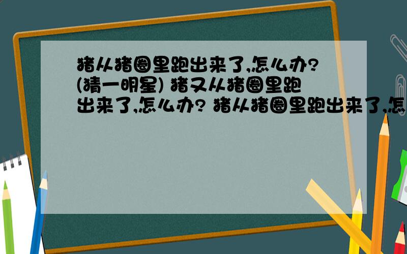 猪从猪圈里跑出来了,怎么办?(猜一明星) 猪又从猪圈里跑出来了,怎么办? 猪从猪圈里跑出来了,怎么办?(猜一明星)猪又从猪圈里跑出来了,怎么办?猪第三次从猪圈里跑出来了,怎么办?请帮我翻译