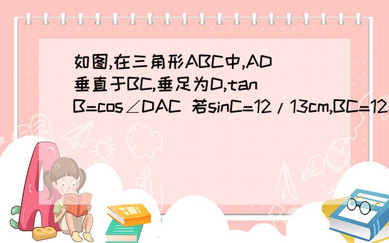 如图,在三角形ABC中,AD垂直于BC,垂足为D,tanB=cos∠DAC 若sinC=12/13cm,BC=12,求AD的长