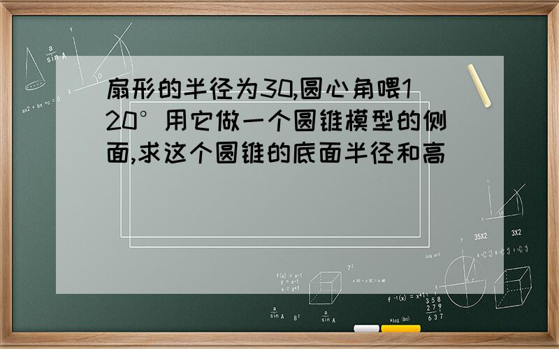 扇形的半径为30,圆心角喂120°用它做一个圆锥模型的侧面,求这个圆锥的底面半径和高