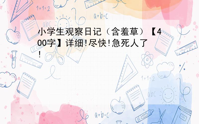 小学生观察日记（含羞草）【400字】详细!尽快!急死人了!