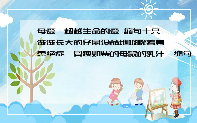 母爱,超越生命的爱 缩句十只渐渐长大的仔鼠没命地吸吮着身患绝症、骨瘦如柴的母鼠的乳汁、缩句