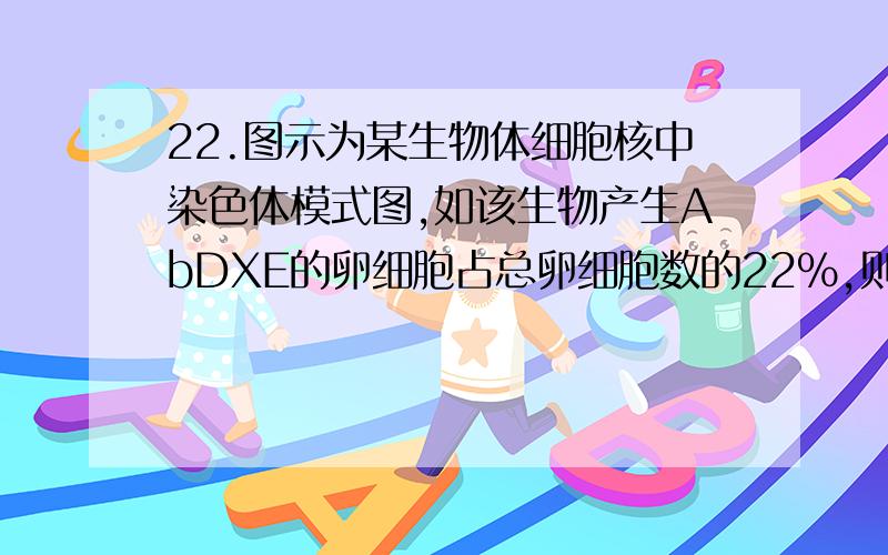 22.图示为某生物体细胞核中染色体模式图,如该生物产生AbDXE的卵细胞占总卵细胞数的22％,则该生物的初级卵母细胞在减数分裂过程中发生互换的比例约为…………( )A.24％ B.22％ C.12％ D.44％