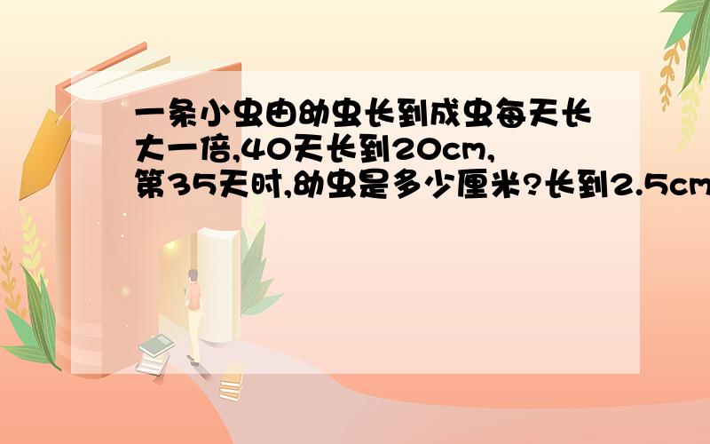 一条小虫由幼虫长到成虫每天长大一倍,40天长到20cm,第35天时,幼虫是多少厘米?长到2.5cm是第几天?