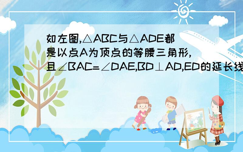 如左图,△ABC与△ADE都是以点A为顶点的等腰三角形,且∠BAC=∠DAE,BD⊥AD,ED的延长线交BC于F探究线段BF与CF的数量关系,并说明理由（1）将△ABC与△ADE改为等边三角形,其他条件不变,如右图；（2）