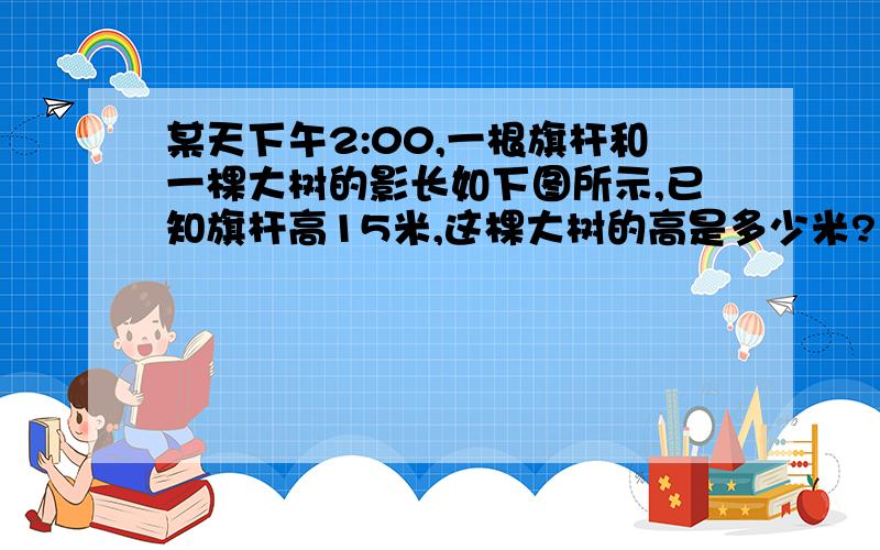 某天下午2:00,一根旗杆和一棵大树的影长如下图所示,已知旗杆高15米,这棵大树的高是多少米?