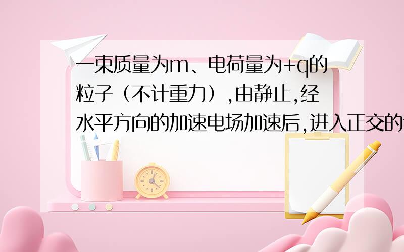 一束质量为m、电荷量为+q的粒子（不计重力）,由静止,经水平方向的加速电场加速后,进入正交的匀强电场和匀强磁场区域abcd,电场强度大小为E,磁感应强度大小为B.粒子在正交的场中沿直线飞