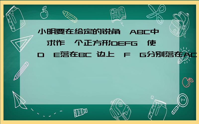 小明要在给定的锐角△ABC中,求作一个正方形DEFG,使D,E落在BC 边上,F,G分别落在AC,AB 上,作法如下第一步：画一个有三个顶点在△ABC两边上的正方形D′E′F′G′（如图）；第二步：连结B、F′并