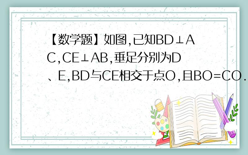 【数学题】如图,已知BD⊥AC,CE⊥AB,垂足分别为D、E,BD与CE相交于点O,且BO=CO.求证：AO平分角BAC