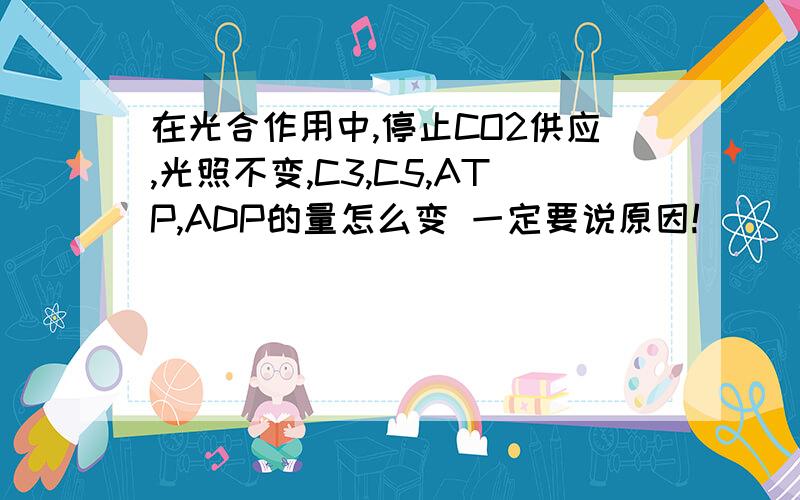 在光合作用中,停止CO2供应,光照不变,C3,C5,ATP,ADP的量怎么变 一定要说原因!